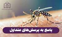 آیا همه پشه‌ها بیماری تب دانگ را منتقل می‌کنند