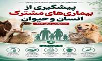 پیشگیری از بیماری‌های مشترک انسان و حیوان؛ مسئولیتی برای همه