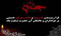 پیام تسلیت رئیس مرکز بهداشت شهرستان میناب به مناسبت فرارسیدن تاسوعا و عاشورای حسینی