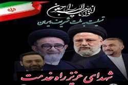 پیام تسلیت مدیر محترم شبکه بهداشت و درمان شهرستان میناب به مناسبت شهادت رئیس محترم جمهور
