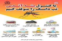 با کنترل پشه آئدس تب دانگ را متوقف کنیم. 