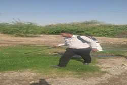 انجام لاورکشی پشه آئدس در محلات شهری میناب پس از بارندگی‌ها و تداوم آن برای مهار پشه آئدس